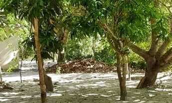 Imagem 6: Casa aruana go Fazenda / sítio com venda por R$500.000