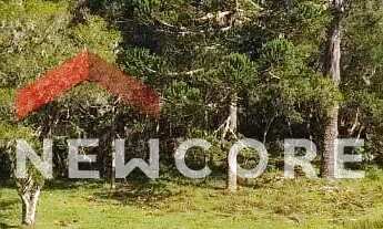 Imagem: Chácara em Estrada geral - Contendas