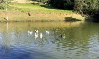 Imagem 6: Terreno 800m2 Village Araçoiba