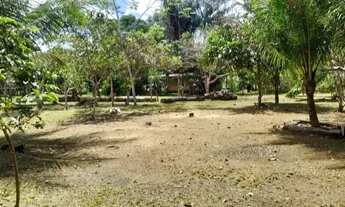 Imagem 6: Sítio em Presidente Figueiredo