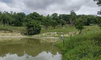 Imagem: Fazenda à Venda em Crixás (GO) 30 Alqueires