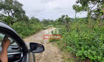 Imagem 6: Fazenda 140 alqueires (677 Hectares) Colinas Do Sul - Go