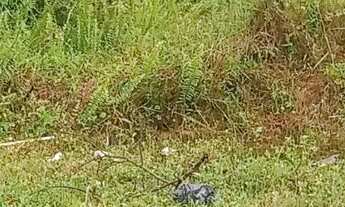 Imagem 2: Terreno com casa na praia de matinhos