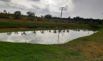 Imagem 2: Imóvel para venda possui 200000 metros quadrados com 2 quartos em b - Presidente Figueired