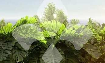 Imagem 6: Casa com 3 dormitórios - Praia da Barra - Garopaba/SC