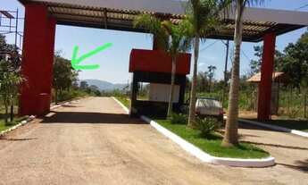 Imagem 5: Lotes no asfalto bairro paraíso