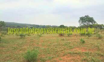 Imagem 6: Sítio 1,0 alqueire, água corrente, 23 km de Uberlândia MG