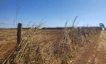 Imagem 5: Chácara Área GO/DF