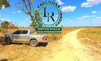 Imagem 6: Fazenda Tocantins 130 Alqueires Lavoura