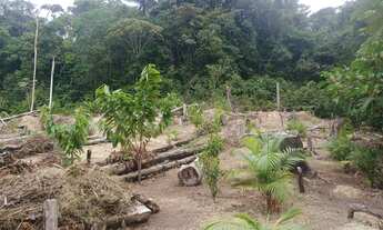 Imagem 2: Vendo terreno KM 85 BR174