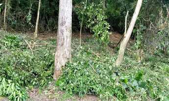 Imagem 4: Terreno à venda em Serra Grande - RJ