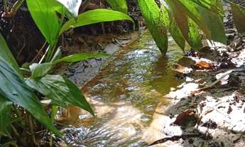 Imagem 4: Chácara Piedade SP