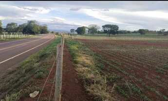 Imagem 2: Vende chácara de 15 alqueires dupla aptidão, a 1 km de Silvania