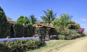 Imagem: SITIO A 18KM DE FEIRA DE SANTANA