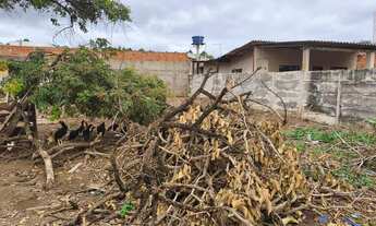 Imagem 3: Lote 200m2 Nova Petrópolis