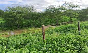 Imagem 4: Vendo ou troco Terreno / lote com venda por R$250.000