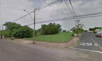 Imagem 6: Terreno Área em São José do Rio Preto
