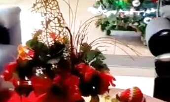 Imagem 7: Casa Ampla e Confortável