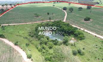 Imagem 3: 46 Alqueires em Cana - 6 km da usina COFCO