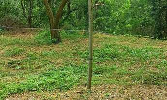 Imagem 3: ? LOTE COM NASCENTE E LAGOA - SOLAR DE VÊNUS