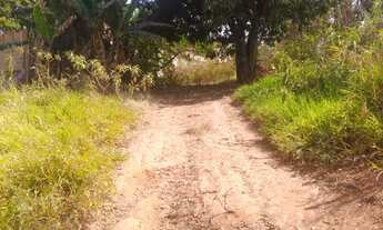 Imagem: Lote em Matheus Leme - Imperdível!