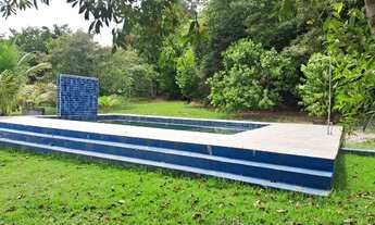 Imagem 7: Sítio no Km 48 da Estrada de Novo Airão - AM, com 175.000 m2