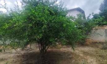 Imagem 4: Terreno 1.500 m² Todo Murado Bairro Estâncias Imperiais Ótimo para Investir