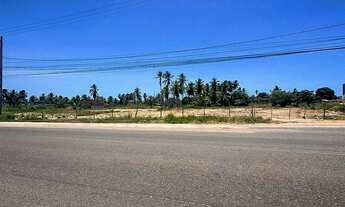Imagem 2: Área comercial para alugar na Rodovia Engenheiro Edilson Távora Barra dos Coqueiros