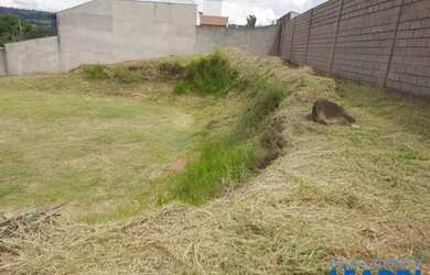 Imagem 6: TERRENO - PARQUE DOS COCAIS - SP