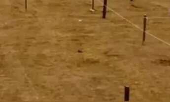 Imagem: 86c- TERRENO PLANO EM COTIA PRONTO PARA