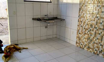 Imagem 5: Aluga- se R$360,00 Posto da mata ba