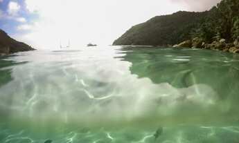 Imagem 2: Terreno Ilha Grande