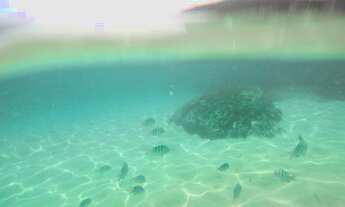 Imagem 3: Terreno Ilha Grande