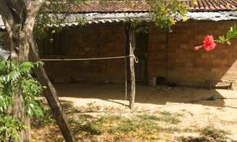 Imagem 4: Terra em Colinas do Sul Go