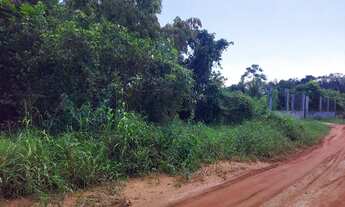 Imagem 3: TERRENO IRANDUBA KM 13 10X74 à 100m DA ESTRADA