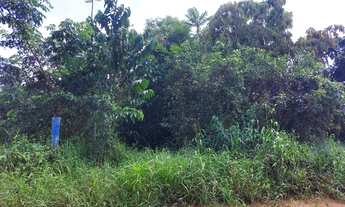 Imagem: TERRENO IRANDUBA KM 13 10X74 à 100m DA