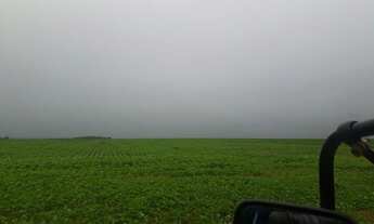 Imagem 3: Fazenda de 39.000 hectares Próxima a Confresa MT