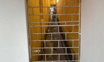 Imagem 4: VENDO CASA SOLTA EM RUA PÚBLICA NO JARDIM AMÉRICA. VALOR R$ 400.000,00