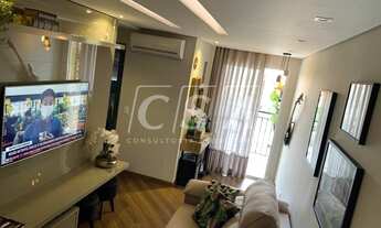 Imagem 4: PIRACICABA - Padrão - Paulicéia