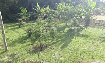 Imagem 2: VENDO CHÁCARA Chácara com venda por R$75.000