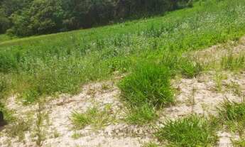 Imagem: O/26 Venha conhecer esse maravilhoso lugar