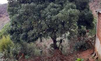 Imagem 5: Vendo Terreno Grande