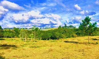 Imagem 3: Aceitamos veículos no valor da tabela FIPE! Não perca essa oportunidade! HP