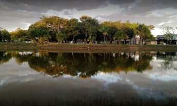 Imagem 4: Casa na Rua do Parque da Lagoa - Oportunidade de Negócio!