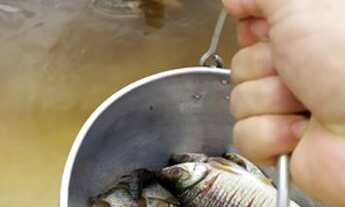 Imagem 5: Sitio com praia particular a 60km de santarem