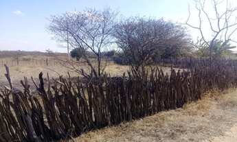 Imagem 4: Terreno Sitio Terra Nova