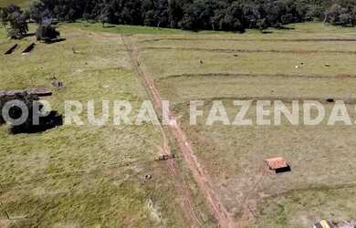 Imagem 4: Fazenda 135 Alqueires, Região de Avare-Sp