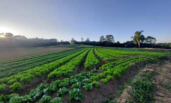 Imagem 3: Conquiste Seu Terreno dos Sonhos em Ibiúna SP