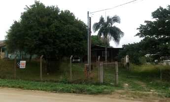 Imagem 5: Viamão - Terreno Padrão - Florescente