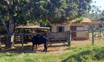 Imagem 4: 5 alqueires de terra